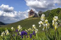 24 H  Anger 6715 Burg Wildeck