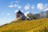 01 Abstatt Burg Wildeck Lenz