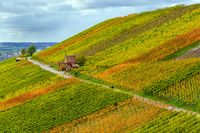 080-DSC 3670 eb1 Herbst-Roland Schweizer