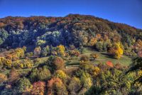 08 Beilstein Herbstwald Lenz
