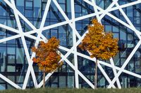 19 Heilbronn Natur und Architektur Lenz