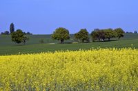 27 Hohenlohe Fruehjahr Lenz