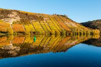 39 Neckar im Herbst Lauffen Lenz