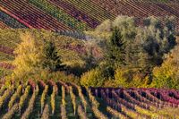 42 Nordheim Herbstfarben Lenz